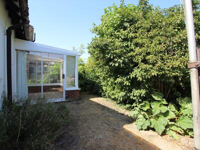Picture 11